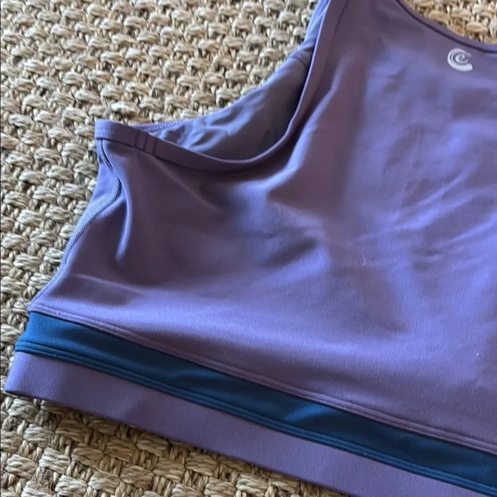 Johnny Was Purple and Teal Bra
